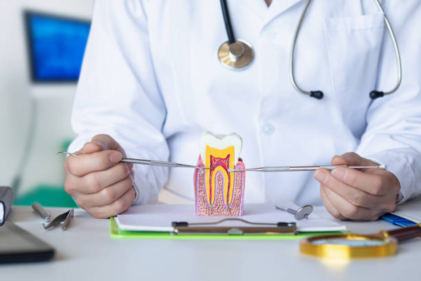 Best Emergency Dentist for Knocked-Out Tooth in Bloomington, TX
